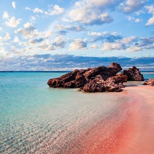 Meet your Posher, Sandy